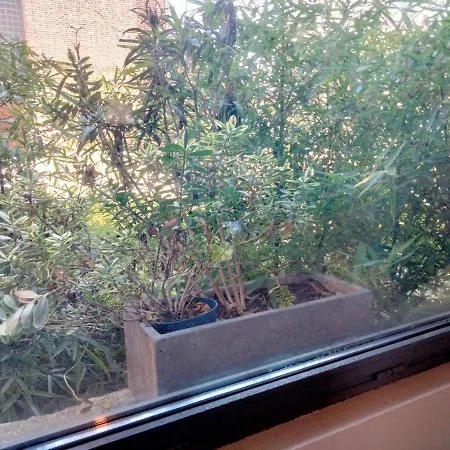 公寓 Bulle De Calme Cote Jardin Exotique 2 Pieces Au Rez De Jardin Pres Gare & Centre Ville Musees 鲁昂